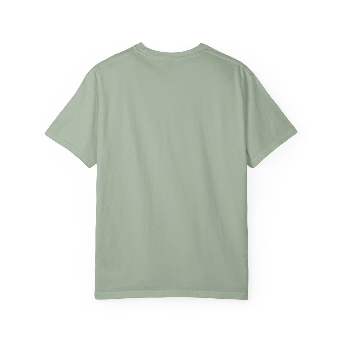 Witch Broom Options T-Shirt —  Halloween Tee