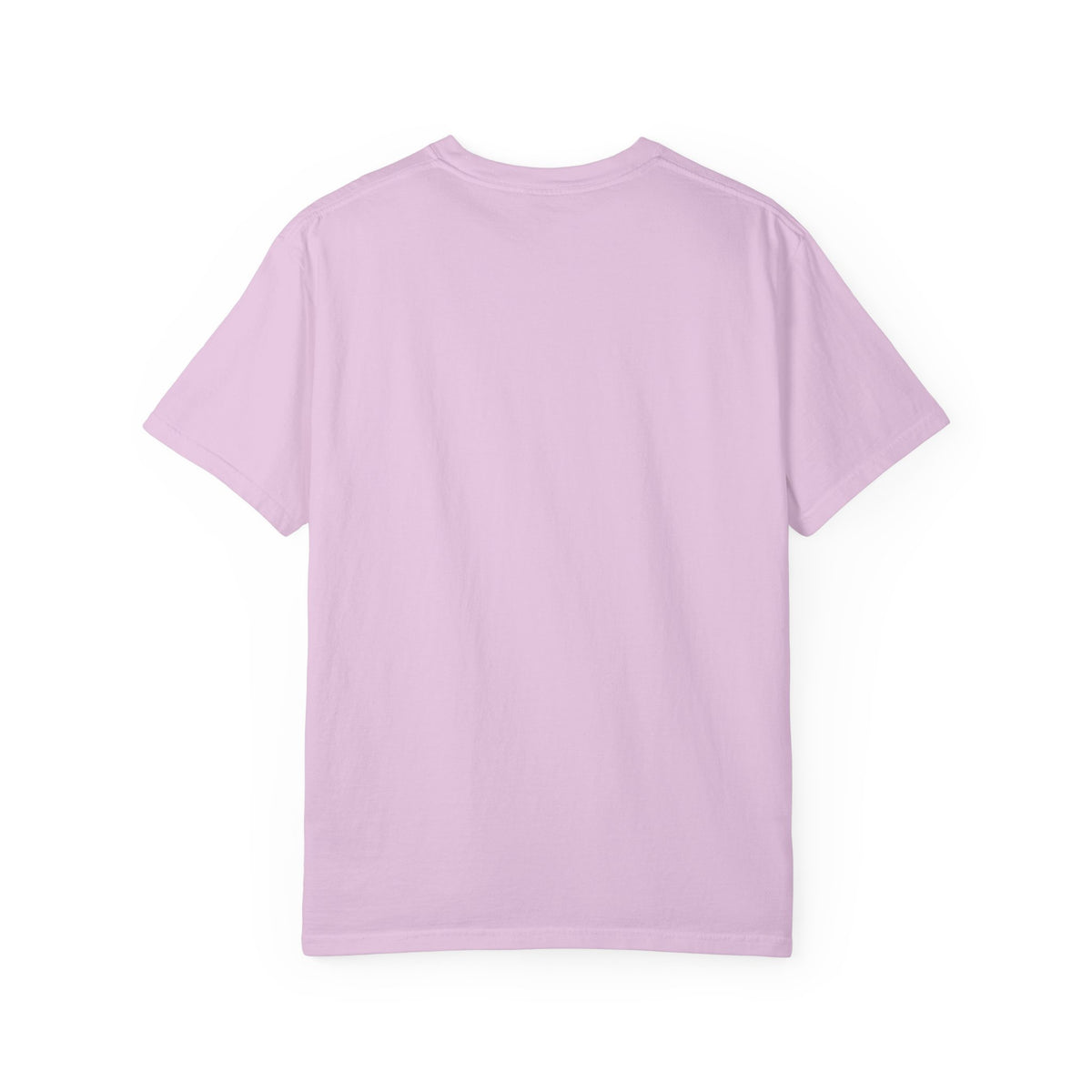 Witch Broom Options T-Shirt —  Halloween Tee