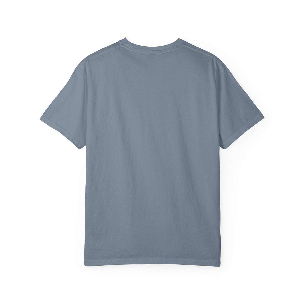 Witch Broom Options T-Shirt —  Halloween Tee